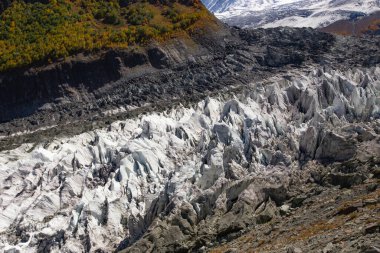 Minapin Buzul dokusu yakın, Rakaposhi dağı, Gilgit, Pakistan