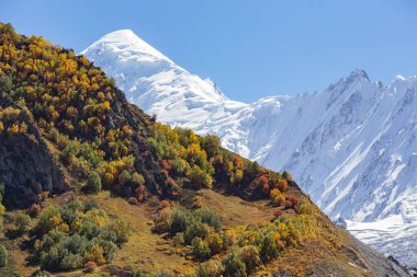Ana kamptan Rakaposhi dağ manzarası, Minapin köyü, Karakoram, Pakistan