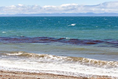 Güneşli bir günde açık deniz kıyısı, doğa manzarası.