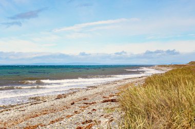 Güneşli bir günde açık deniz kıyısı, doğa manzarası.
