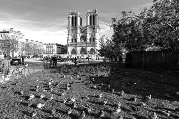 Paris France November 2021 Cathdrale Notre Dame Paris Sunny Day — Foto Stock