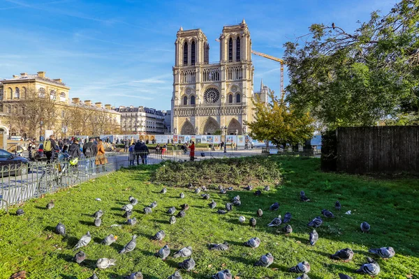 Paris France November 2021 Cathdrale Notre Dame Paris Sunny Day — Stock Photo, Image