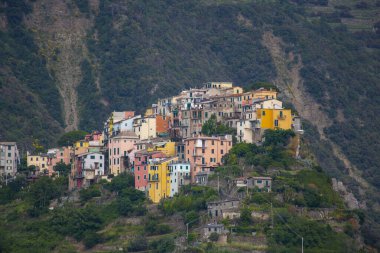 Vernazza, ITALY - Haziran 2019: Geleneksel İtalyan mimarisi, Vernazza, İtalyan Riviera, Cinque Terre, Liguria, İtalya 'daki tepelerde renkli evler