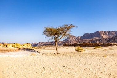 Sina Çölü, Mısır 'daki güzel dağ manzarası. Güney Sina 'daki Kanyon.
