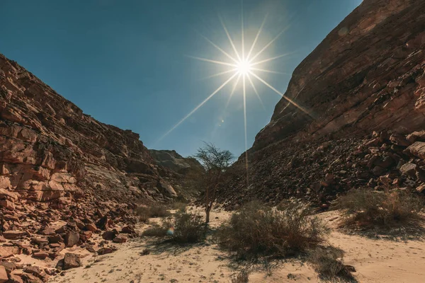 Gyönyörű Hegyvidéki Táj Sínai Sivatagban Egyiptomban Dél Sínai Kanyon — Stock Fotó