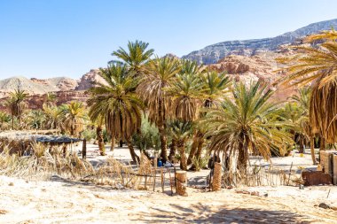 Çölde vaha, Güney Sina, çölde beyaz kanyon, Mısır
