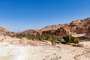 Çölde vaha, Güney Sina, çölde beyaz kanyon, Mısır
