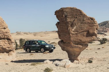 SINAI, EGYPT - Şubat 2022: Sina Çölü, Mısır 'da mantar taşı