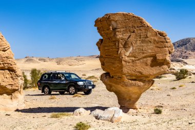 SINAI, EGYPT - Şubat 2022: Sina Çölü, Mısır 'da mantar taşı