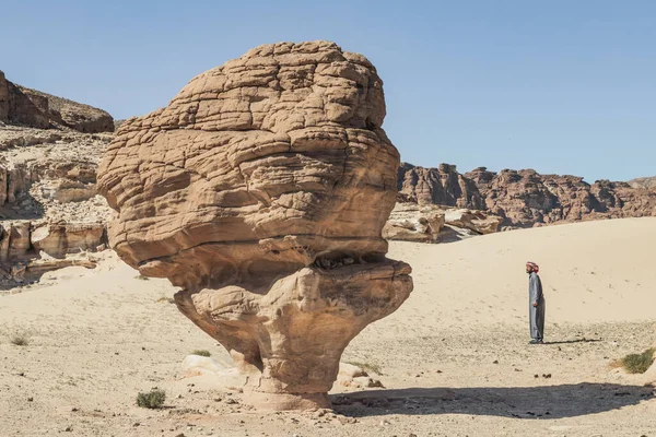 Houbový Kámen Poušti Sinaj Egypt — Stock fotografie