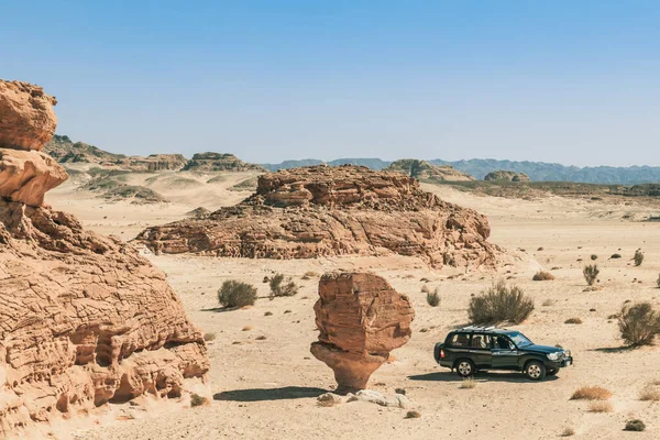 Gombakő Sinai Sivatagban Egyiptom — Stock Fotó