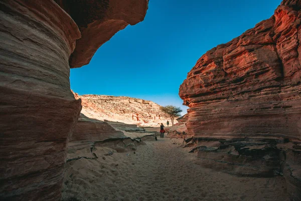 Canyon Cores Sinai Sul Egito — Fotografia de Stock