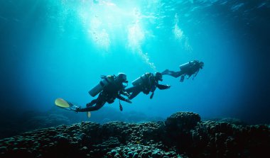 DAHAB, EGYPT - June 2021: Woman diver, dive site in Dahab, South Sinai, Egypt clipart