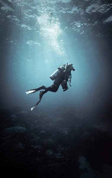 Dahab Egypt June 2021 Woman Diver Dive Site Dahab South — Stock Photo, Image