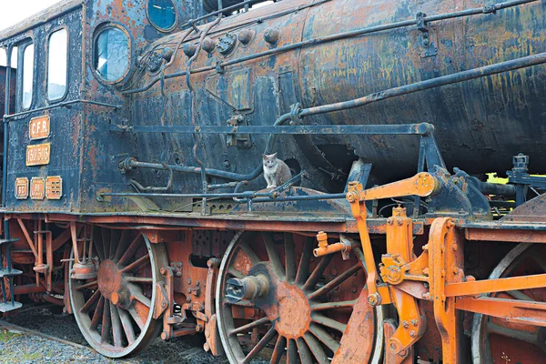 Sibiu Romania Marzo 2022 Sibiu Steam Engines Museum Antico Museo — Foto Stock
