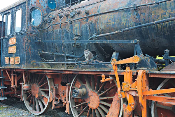 Sibiu Roumanie Mars 2022 Sibiu Steam Engines Museum Musée Des — Photo