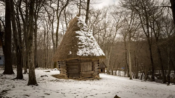 Sibiu Roménia Março 2022 Casa Rural Tradicional Astra Folk Museum — Fotografia de Stock