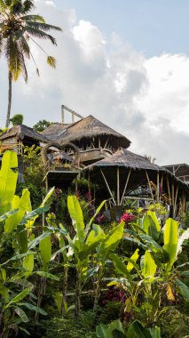 UBUD, İNDONEZYA - Nisan 2022: Ubud bölgesindeki ormandaki geleneksel Bali kulübeleri, otel, misafir evi, Bali