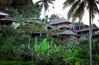 UBUD, İNDONEZYA - Nisan 2022: Ubud bölgesindeki ormandaki geleneksel Bali kulübeleri, otel, misafir evi, Bali