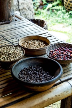 Çiğ kahve çekirdeklerini kapatın, Bali, Endonezya