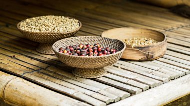 Çiğ kahve çekirdeklerini kapatın, Bali, Endonezya