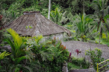 UBUD, İNDONEZYA - Nisan 2022: Ubud bölgesindeki ormandaki geleneksel Bali kulübeleri, otel, misafir evi, Bali