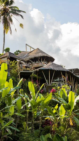 Ubud Ndonezya Nisan 2022 Ubud Bölgesindeki Ormandaki Geleneksel Bali Kulübeleri — Stok fotoğraf