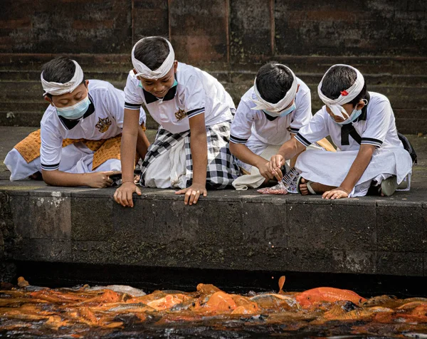 Bali Indonésia Abril 2022 Crianças Balinesas Brincando Alimentando Koi Lagoa — Fotografia de Stock