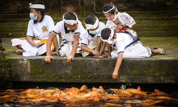 Bali Indonésia Abril 2022 Crianças Balinesas Brincando Alimentando Koi Lagoa — Fotografia de Stock