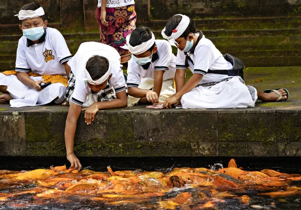 Bali Indonésia Abril 2022 Crianças Balinesas Brincando Alimentando Koi Lagoa — Fotografia de Stock