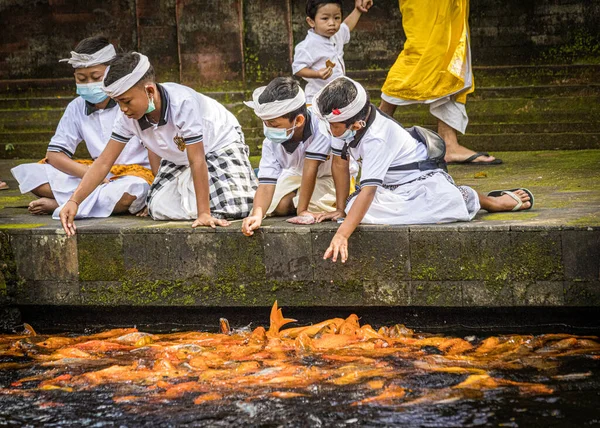 Bali Indonésia Abril 2022 Crianças Balinesas Brincando Alimentando Koi Lagoa — Fotografia de Stock