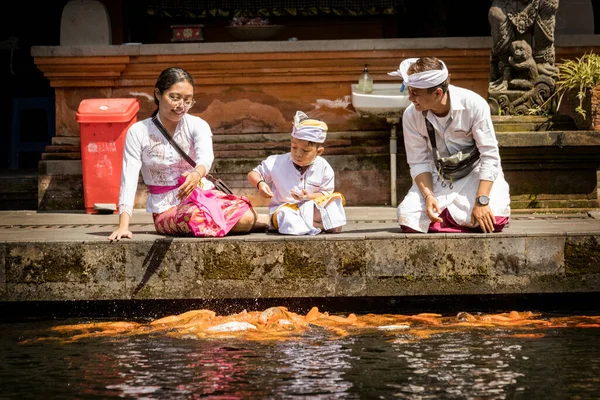 Bali Indonesia April 2022 Balinese Family Feeding Koi Fishes Pond — Fotografia de Stock