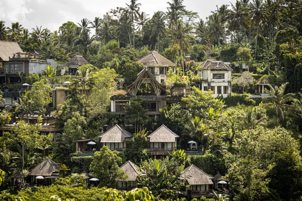 UBUD, İNDONEZYA - Nisan 2022: Ubud bölgesindeki ormandaki geleneksel Bali kulübeleri, otel, misafir evi, Bali