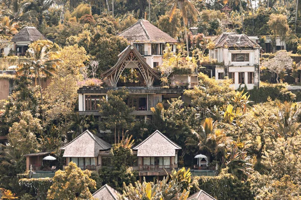 UBUD, İNDONEZYA - Nisan 2022: Ubud bölgesindeki ormandaki geleneksel Bali kulübeleri, otel, misafir evi, Bali