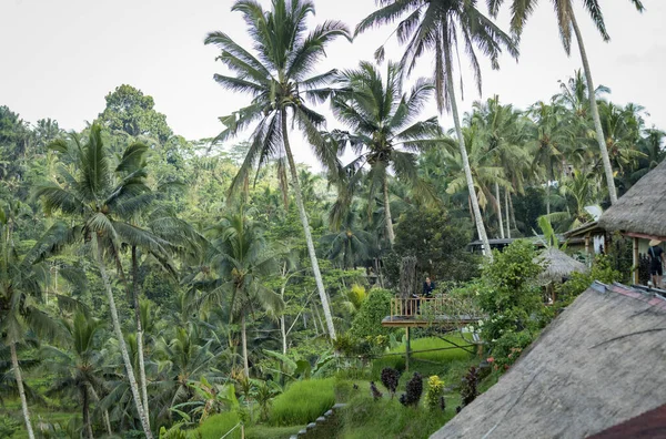 Ubud Indonesia April 2022 Traditional Balinese Huts Hotel Guesthouse Jungle — стоковое фото
