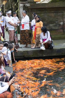 Endonezya 'nın Bali kentindeki Tirta Empul tapınağında düzenlenen tören sırasında Bali halkı