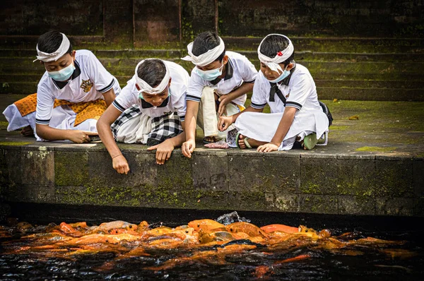 Bali Indonésia Abril 2022 Crianças Balinesas Brincando Alimentando Koi Lagoa — Fotografia de Stock