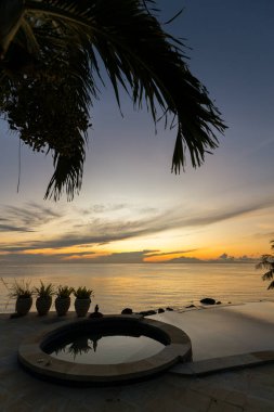 Endonezya, Bali 'de gün doğumuna karşı palmiye ağaçları