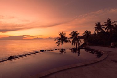 Endonezya, Bali 'de gün doğumuna karşı palmiye ağaçları