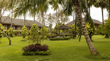 BALI, INDONEZYA - Mart 2022: Villa yakınlarındaki Ubud 'da güzel bir bahçe, Endonezya' nın Bali kentindeki yeşil yemyeşil bir bahçe