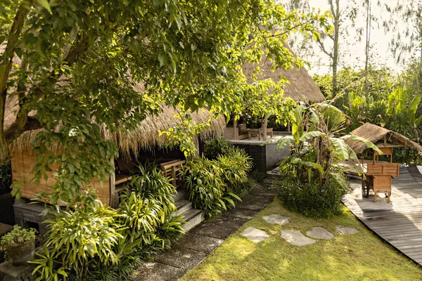 Schöner Garten Bali Strandvilla Grüner Üppiger Garten Auf Bali Der — Stockfoto