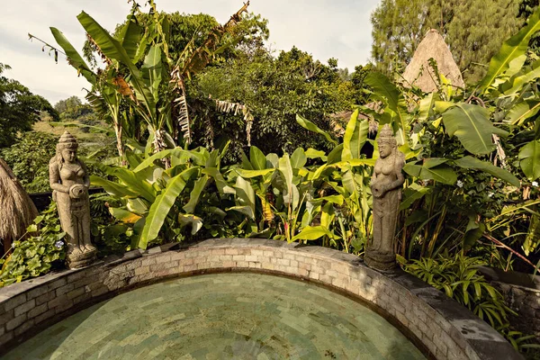 인도네시아 발리의 근처에 초목이 우거진 별장에 아름다운 — 스톡 사진