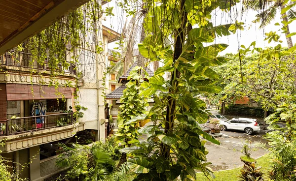 Schöner Garten Einer Strandvilla Legian Grüner Üppiger Garten Bali Indonesien — Stockfoto