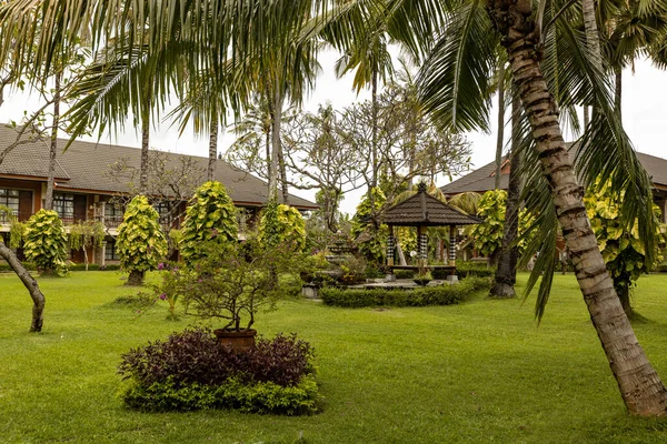 BALI, INDONEZYA - Mart 2022: Villa yakınlarındaki Ubud 'da güzel bir bahçe, Endonezya' nın Bali kentindeki yeşil yemyeşil bir bahçe