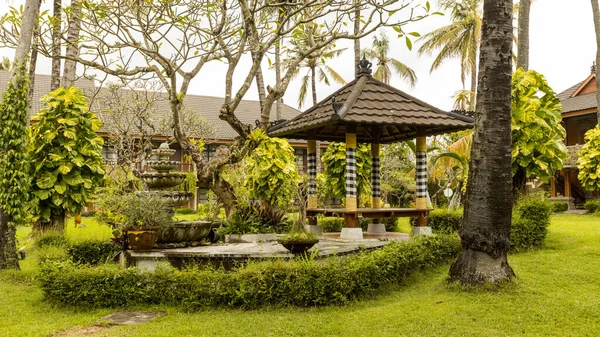BALI, INDONEZYA - Mart 2022: Villa yakınlarındaki Ubud 'da güzel bir bahçe, Endonezya' nın Bali kentindeki yeşil yemyeşil bir bahçe