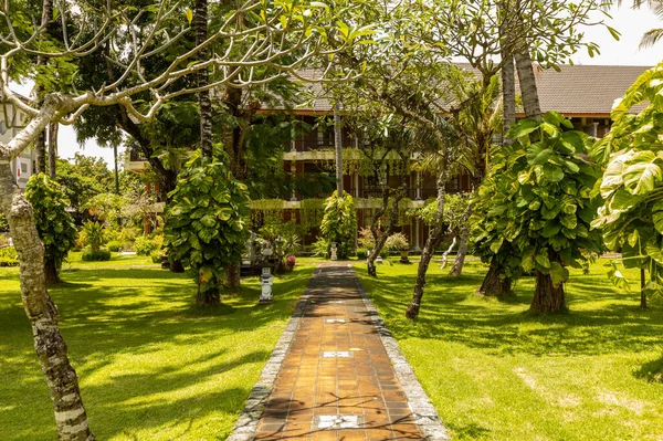 Bali Indonesia March 2022 Beautiful Garden Ubud Villa Green Lush — Stock fotografie