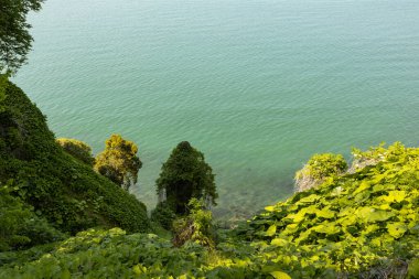 Batum, Gürcistan 'daki Botanik Bahçesi bakış açısı