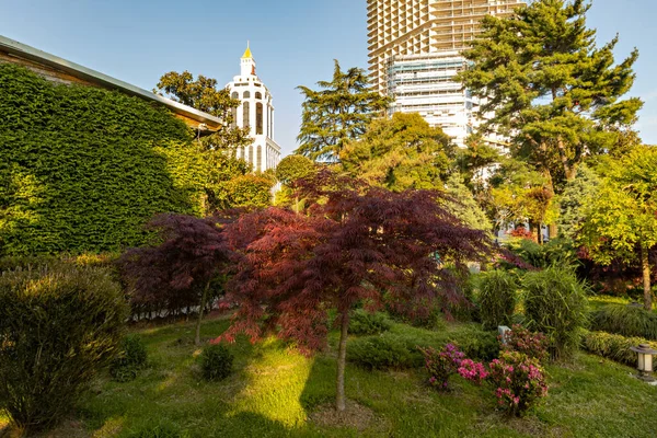 Batumi, Gürcistan 'daki Japon bahçesi