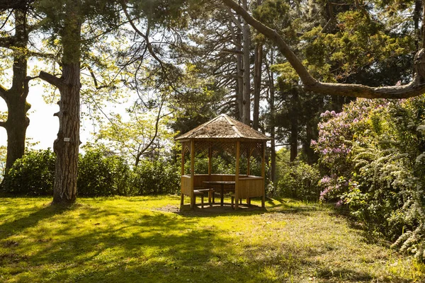 Güneşli yaz gününde Batum Botanik Bahçesi 'nde çardak, Batumi, Georgia