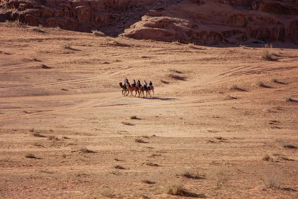 Wadi Rum Jordánsko Března 2019 Velbloudi Karavan Beduínskou Muže Poušti — Stock fotografie